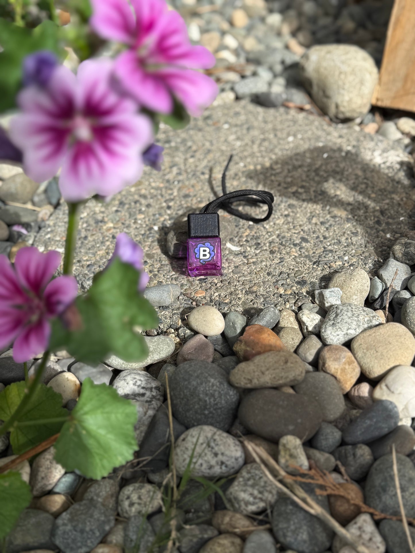 💜 Lavender Drift 💨🌿